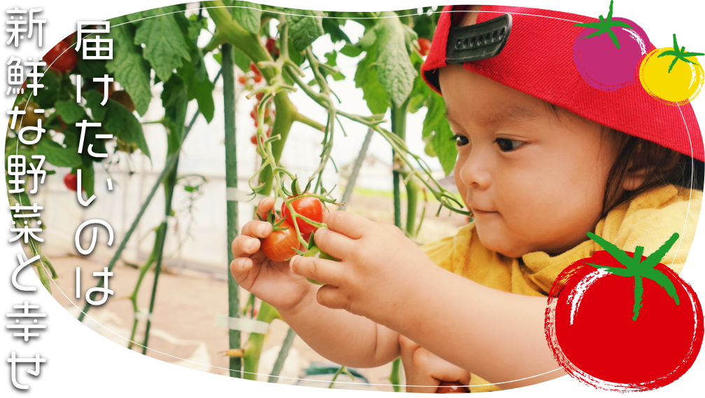 SUKE 3 FARM