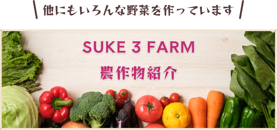 農作物紹介