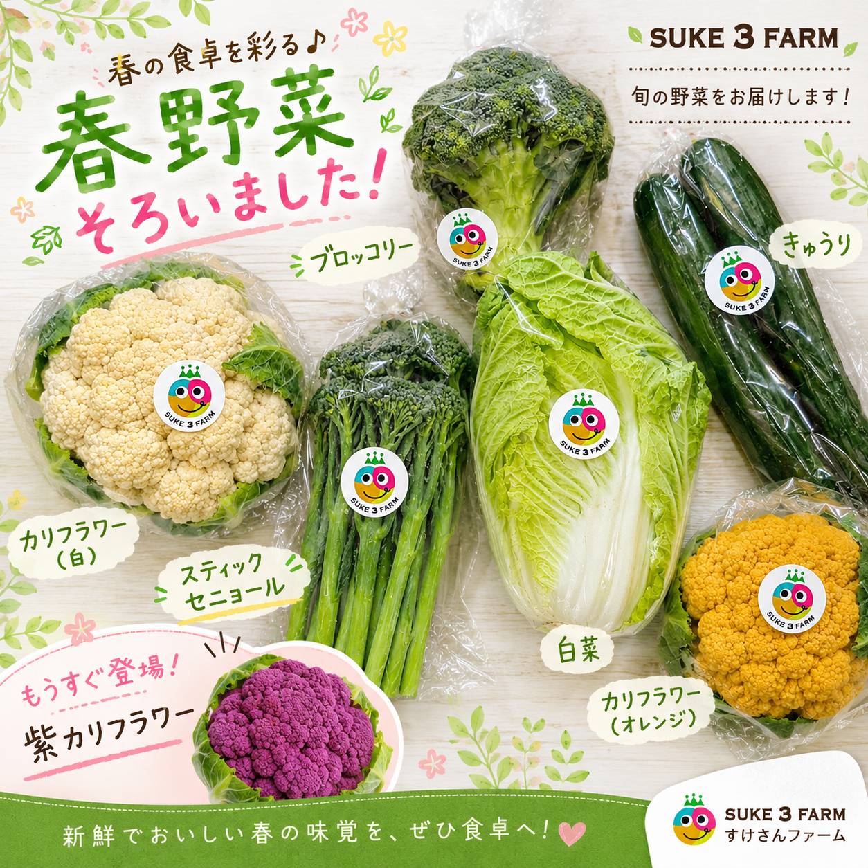 揃うのは今だけ☆春野菜が揃ってきました！